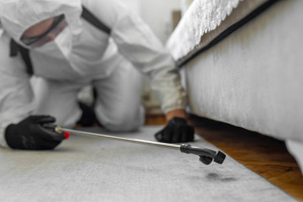 Professional Ant Control technician working in Great Neck Estates, NY